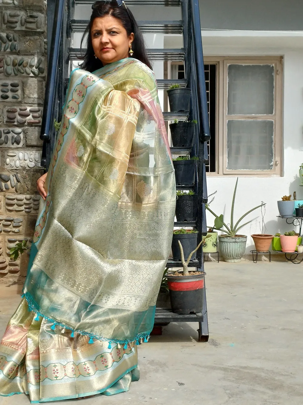 RENUKA TISSUE RANG-CARD SAREE